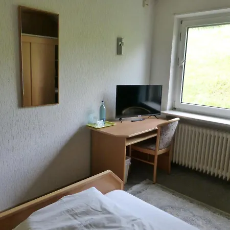 Gasthaus Zum Goldenen Lowen Finkenbach